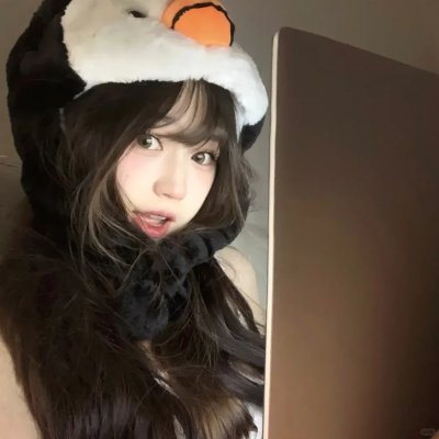 认识狗狗